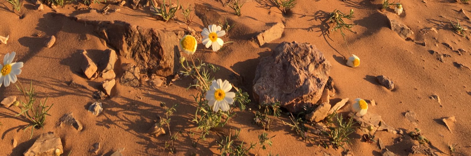 RebeecaRojo's profile banner image