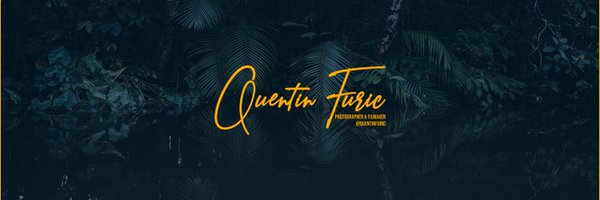 FuricQuentin Profile Banner