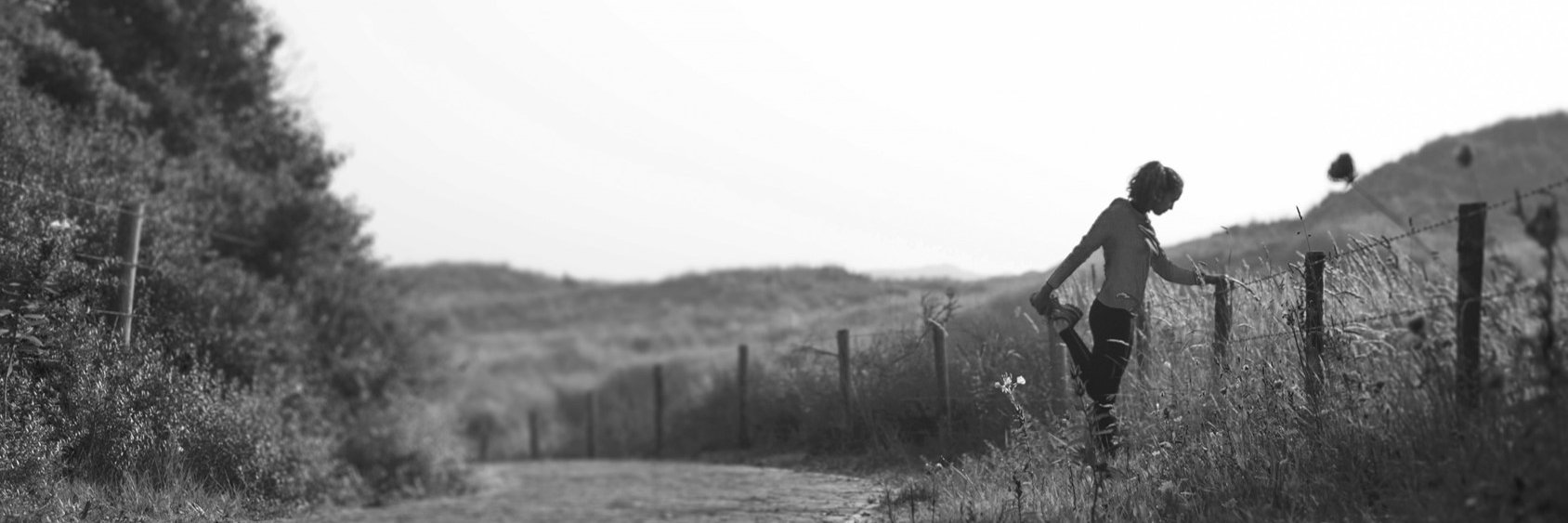 BeLife banner