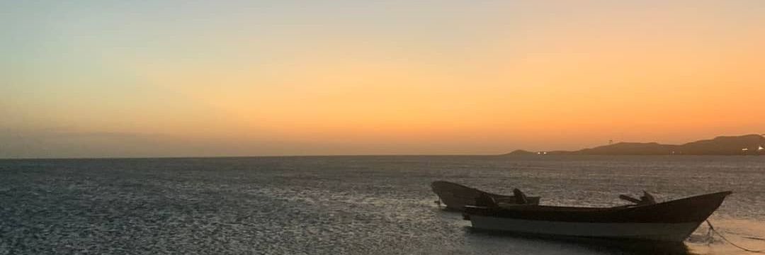 danicarrero's profile banner image