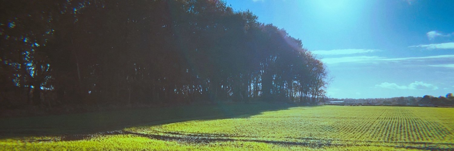 Annette Selwyn banner