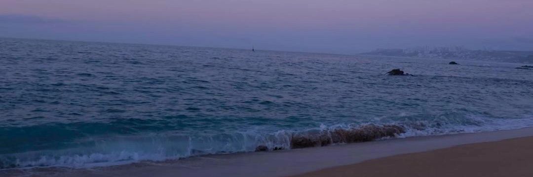 tonella______'s profile banner image
