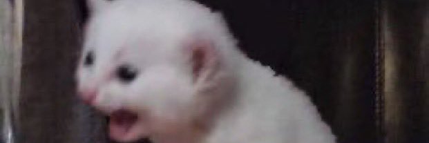 Excremancer Supreme: The Shitzard banner