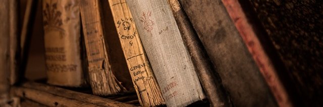 bookish_bird's profile banner image