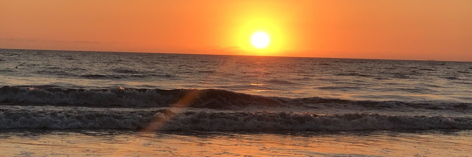ShellySamson75's profile banner image