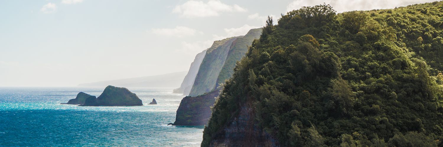 chrislysiuk's profile banner image