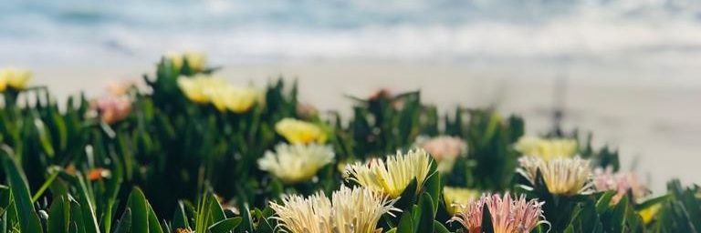 HeziHall's profile banner image