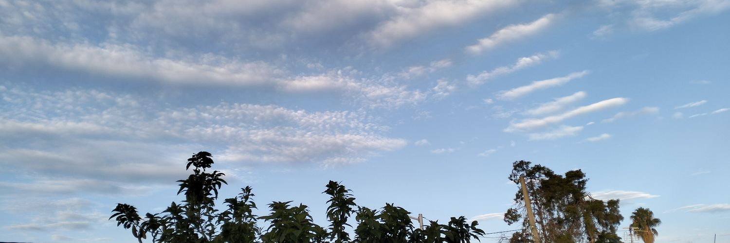 RoccioRaam's profile banner image