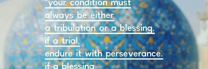 Abid bhat banner