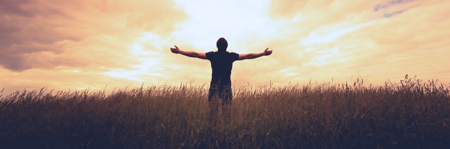 Dub Down Dynamo banner