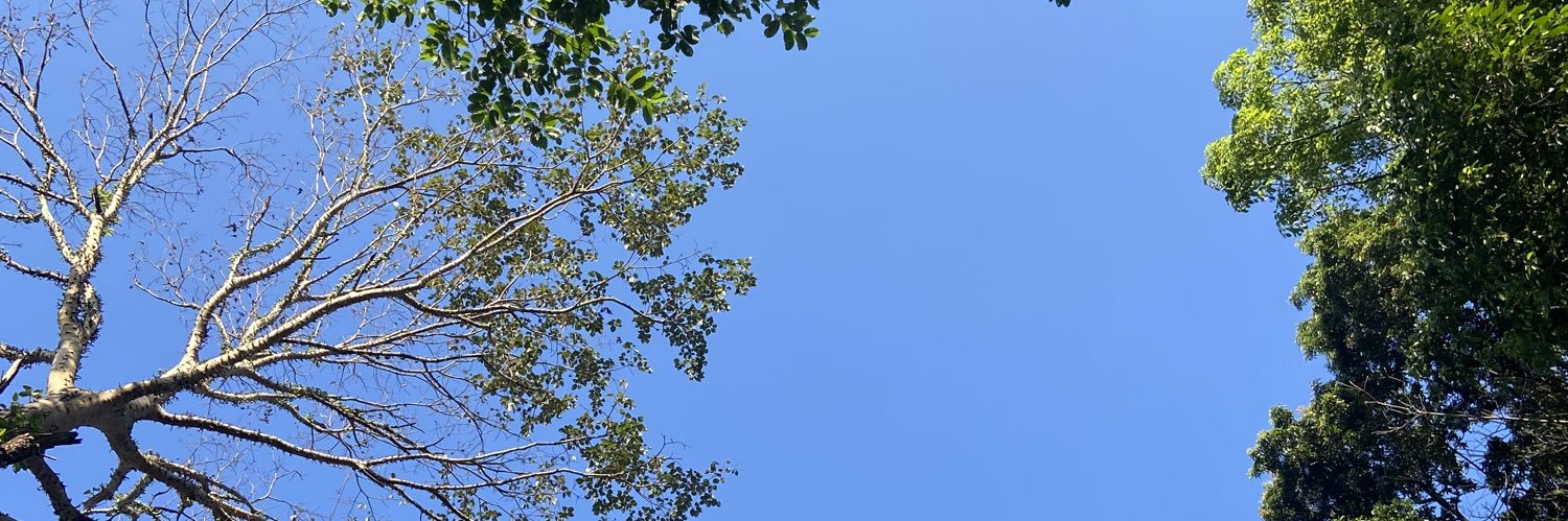 ganeshaviona's profile banner image