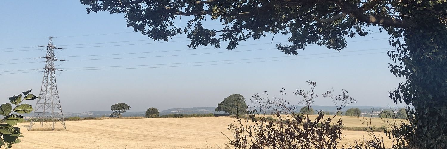 Jenny Wingfield banner