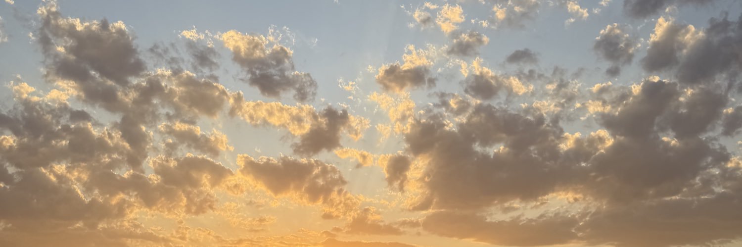 abiramospich's profile banner image