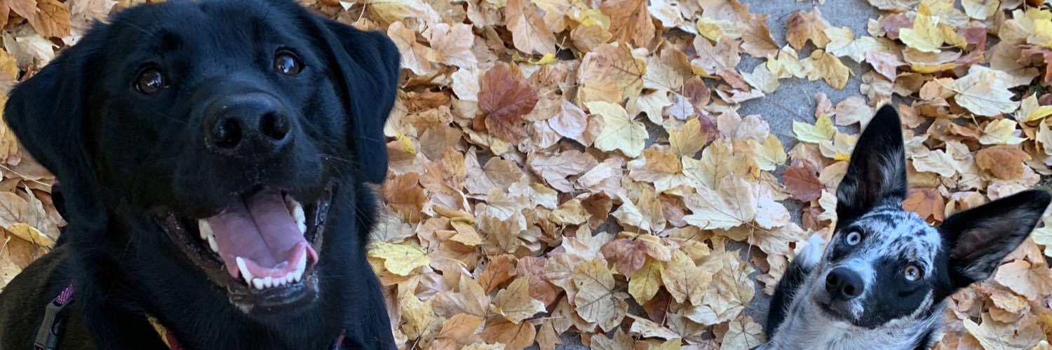 kenzibauer's profile banner image