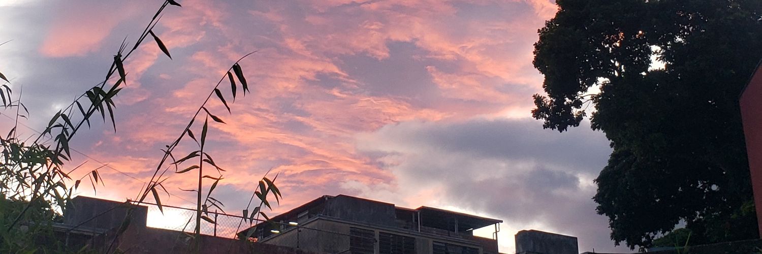 wendybernesp's profile banner image