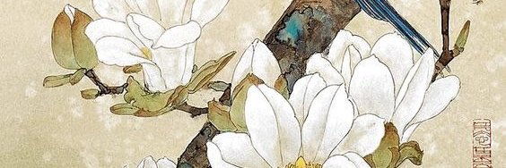 _txmaa's profile banner image