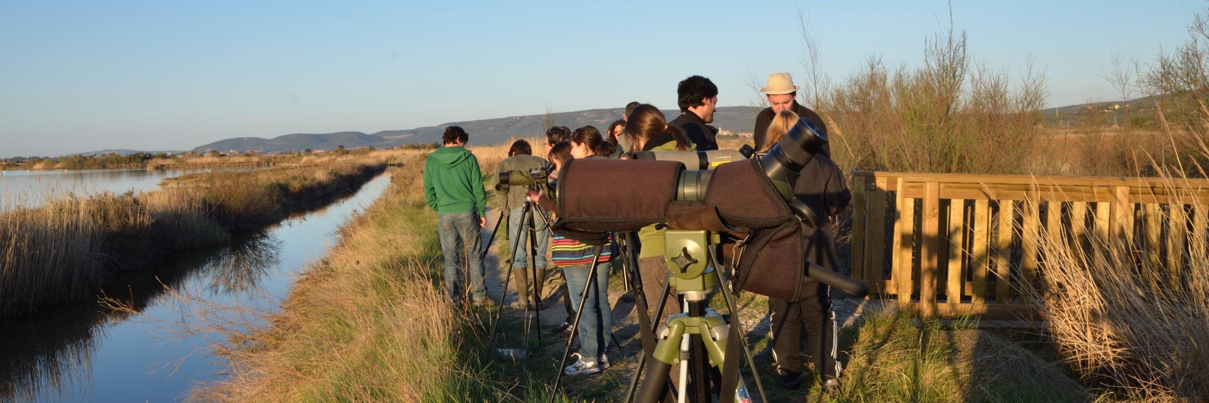 Département Biologie Écologie banner