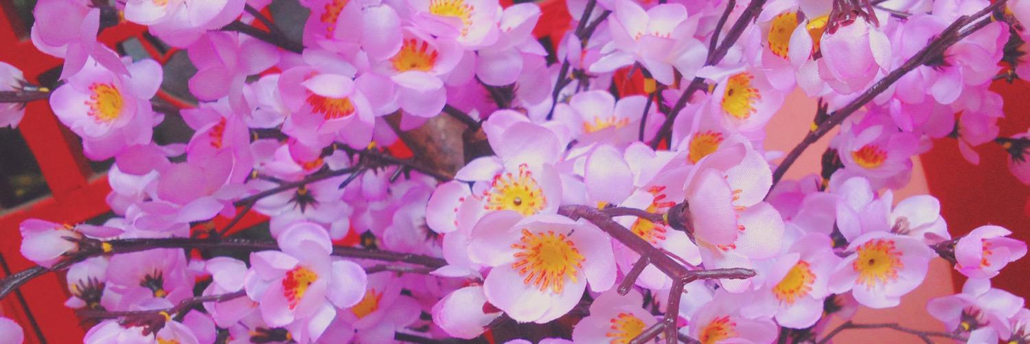 Dhevisucii's profile banner image