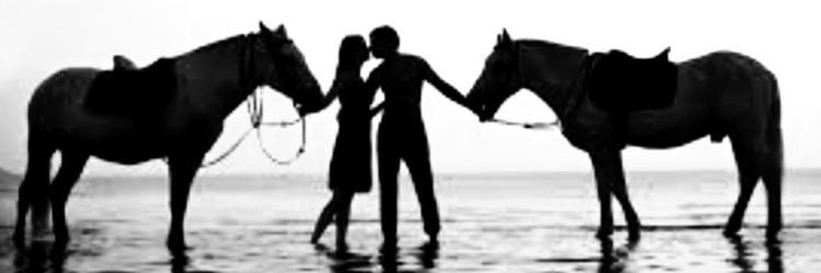 Cengo11111's profile banner image