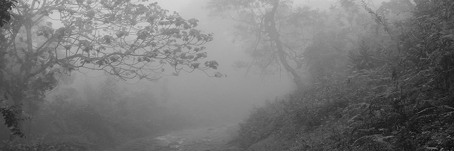 HettyCary banner