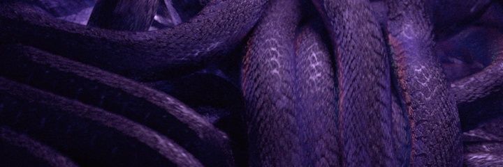 MIROIRd_OR's profile banner image