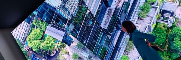 lizimmer Profile Banner