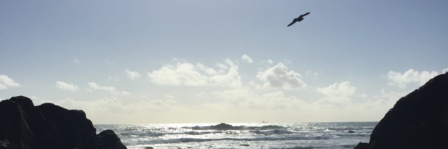 Jennifer Lindner banner