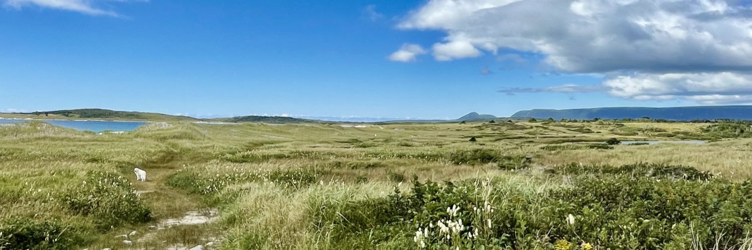 Allison Osmond MD MSc FRCPC banner