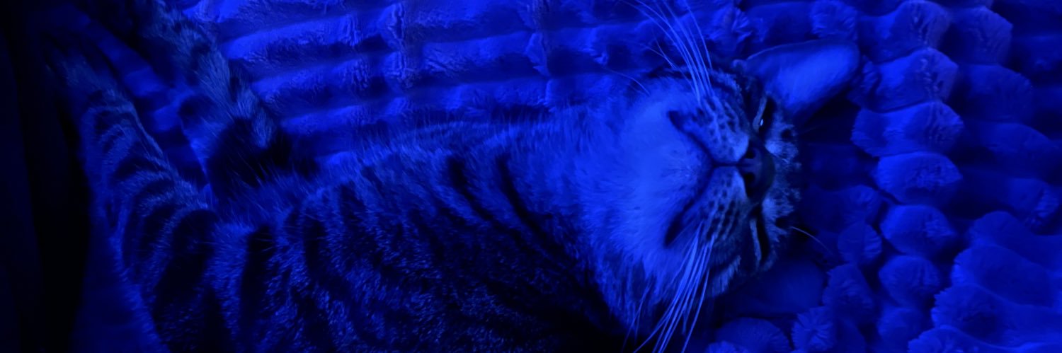 KruegerHannah's profile banner image