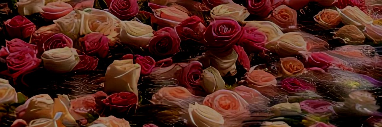 🌻's banner