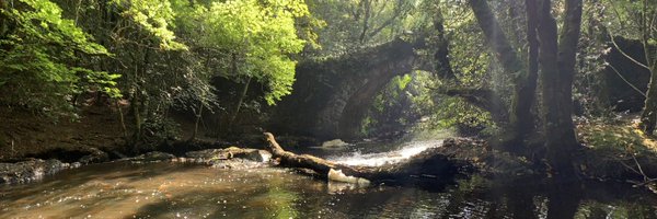 kierannolan Profile Banner