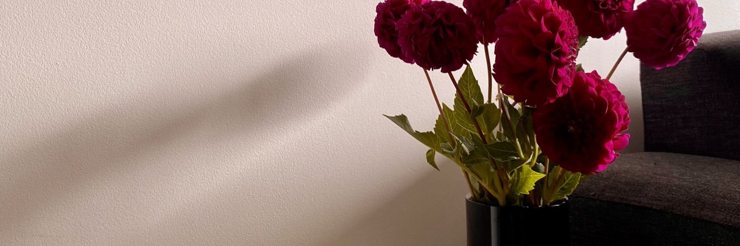 Alison Hansen banner