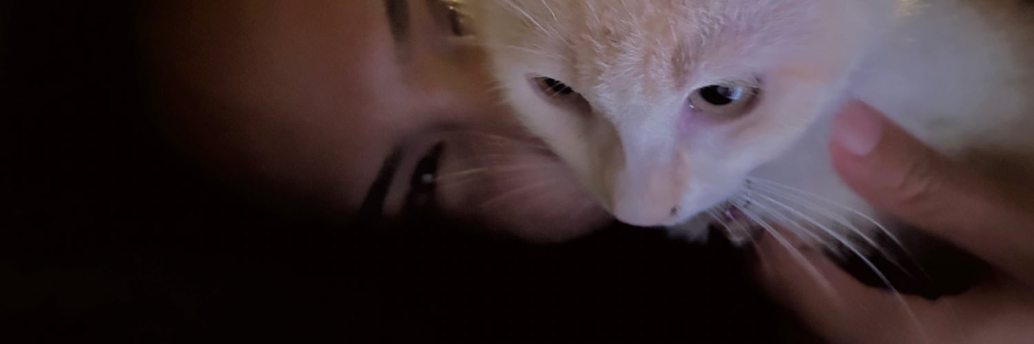 พิเช่ banner