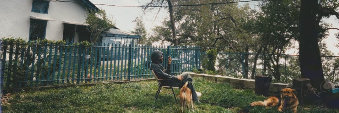 ttpdblackdog's profile banner image