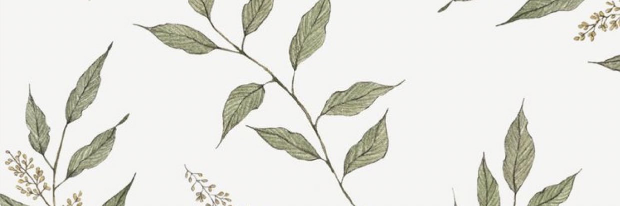 alikhadley's profile banner image