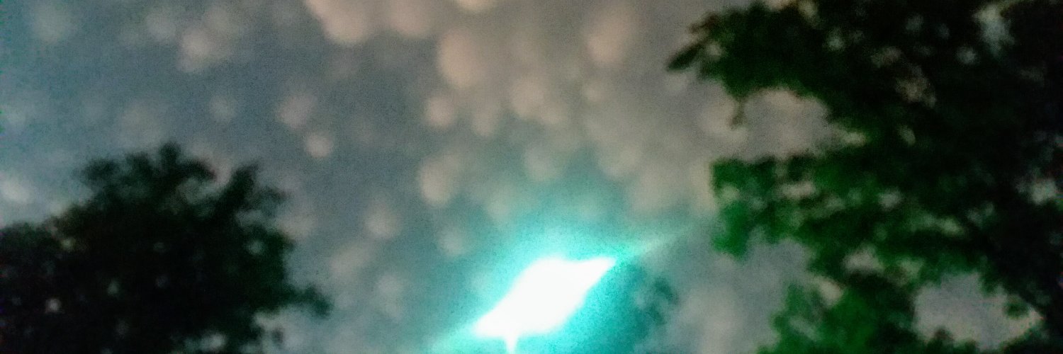 RayRaybobsoap's profile banner image