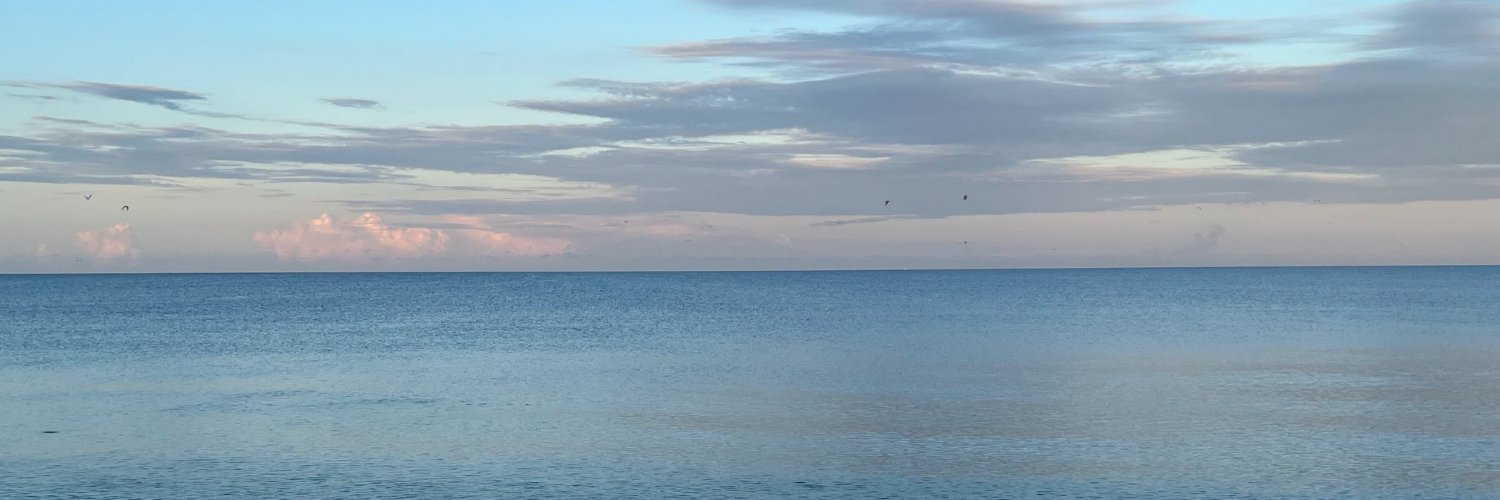 Martha Bergren banner