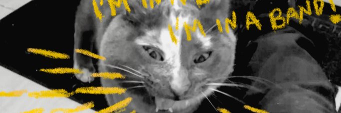 Xiomy_R_S's profile banner image