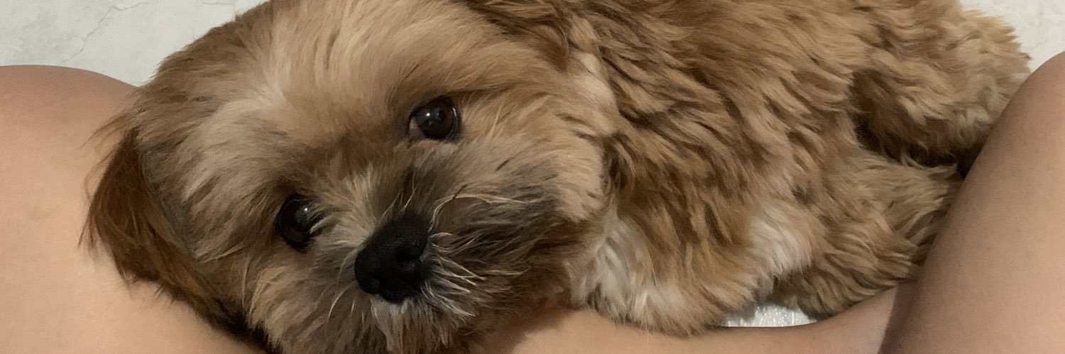 camillenix_'s profile banner image