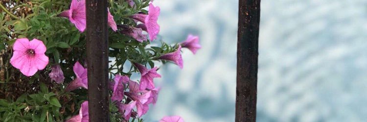 Hanan99612's profile banner image