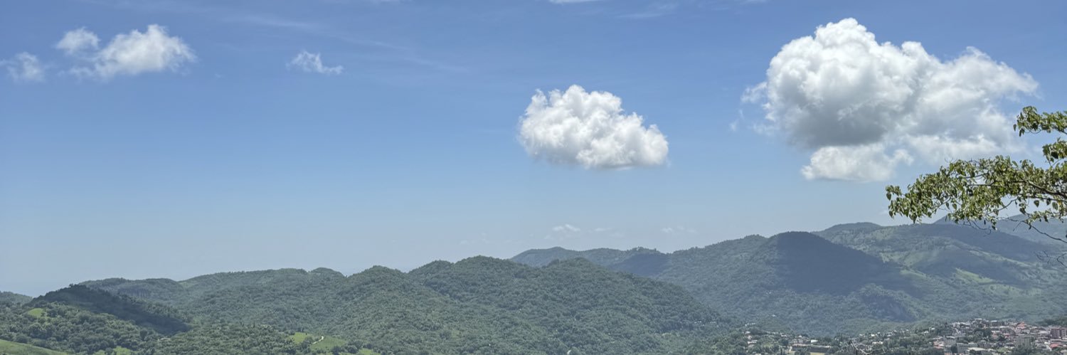Ana Pau banner