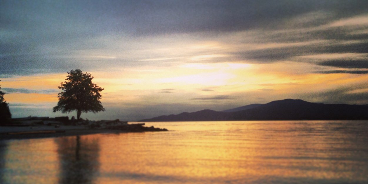 TheRuthFairy's profile banner image