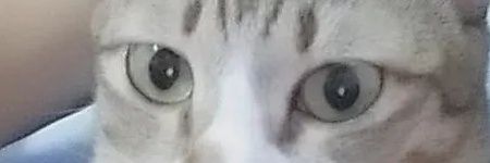 อลิซจะกินแครอท banner