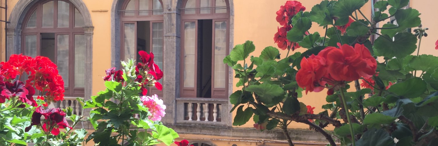 MiaAndreozzi's profile banner image