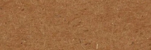 chloe gordon banner