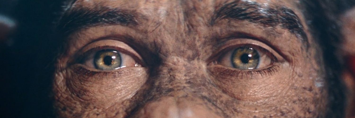 BranGelves's profile banner image