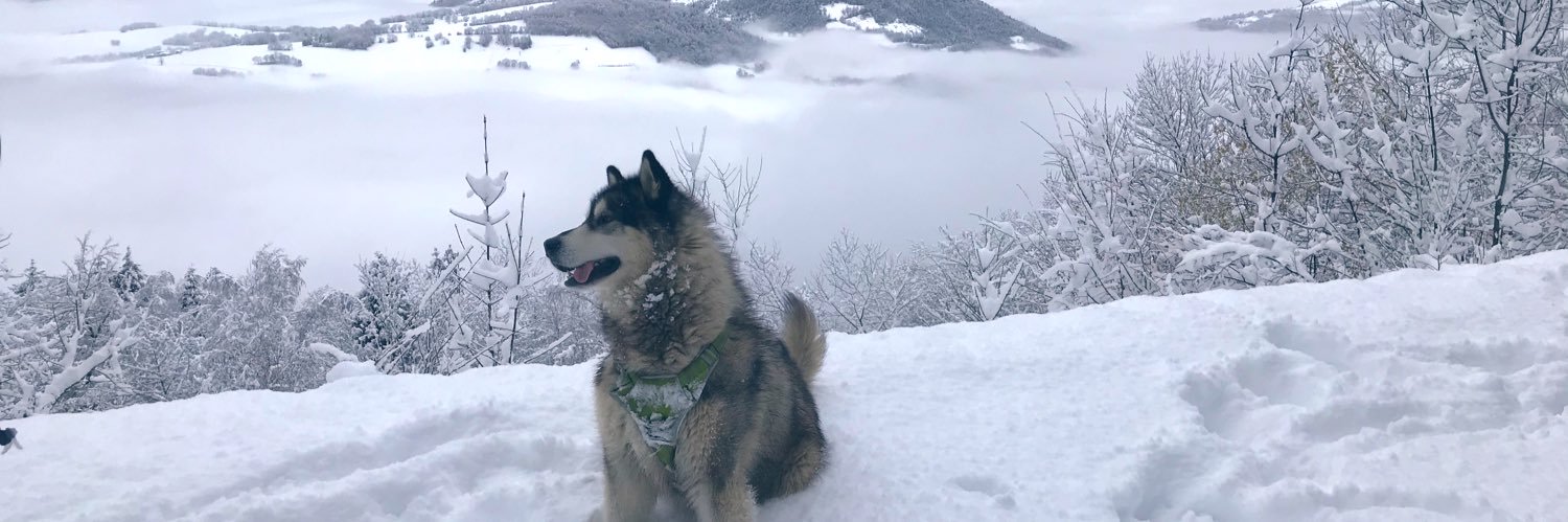 Brigitte Vasseur banner