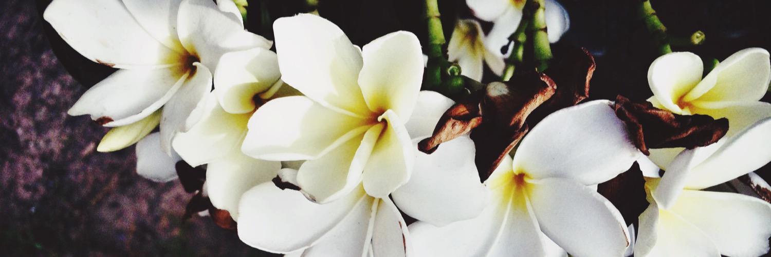 AL_NAJLA99's profile banner image