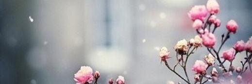 De124RA's profile banner image