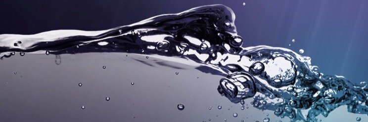 lesherbes's profile banner image